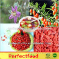 Foods 2015 new crop high quality dried goji berry(organic goji berry)